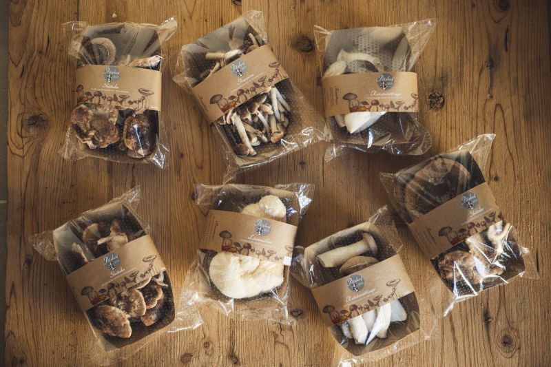 Frische Pilze, verpackt für den Verkauf